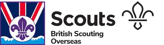 scout badge